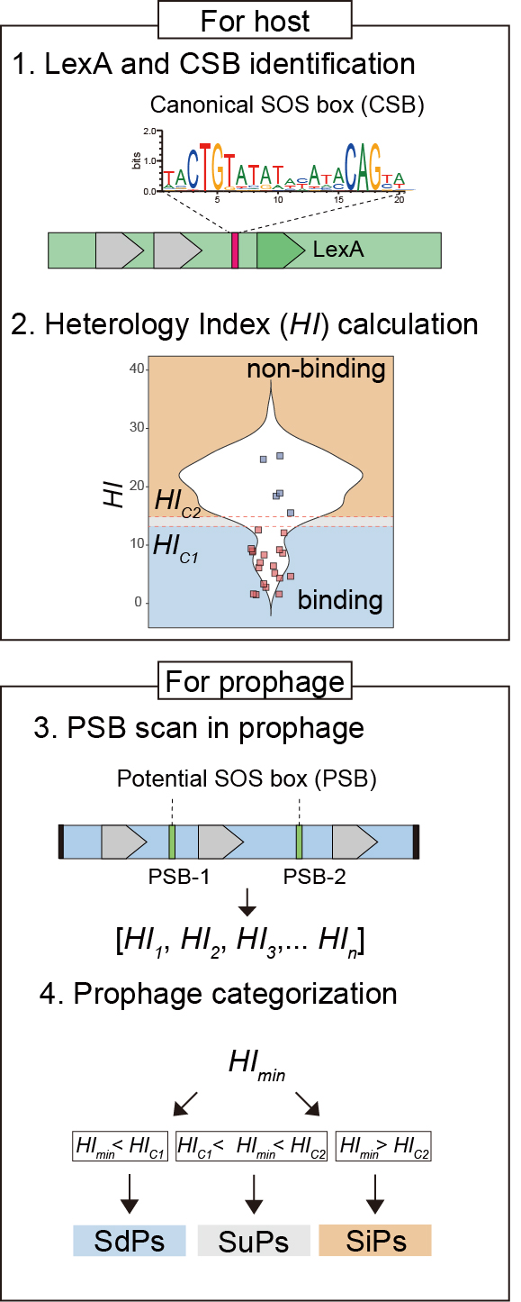 PSOSP Workflow Diagram
